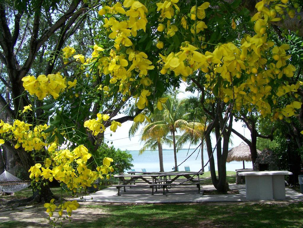 Rock Reef Resort Key Largo Dış mekan fotoğraf